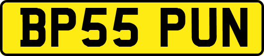 BP55PUN