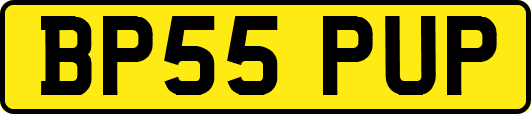 BP55PUP
