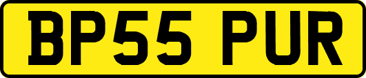 BP55PUR
