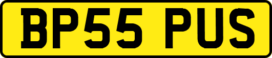 BP55PUS