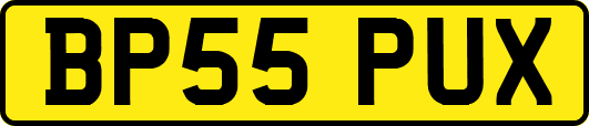 BP55PUX