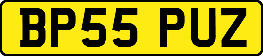 BP55PUZ