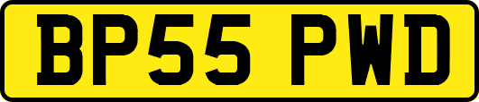 BP55PWD