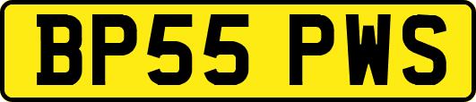 BP55PWS