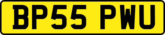BP55PWU