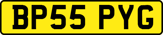 BP55PYG