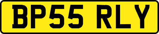 BP55RLY