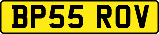 BP55ROV