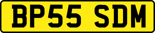 BP55SDM