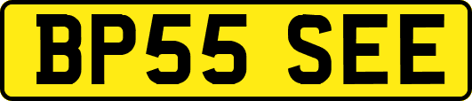 BP55SEE
