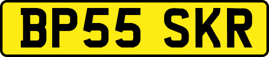 BP55SKR
