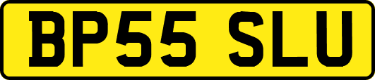 BP55SLU