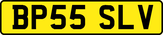 BP55SLV