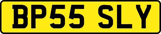 BP55SLY