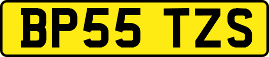 BP55TZS