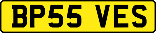 BP55VES