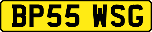 BP55WSG