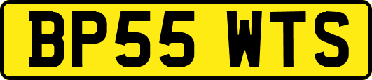 BP55WTS