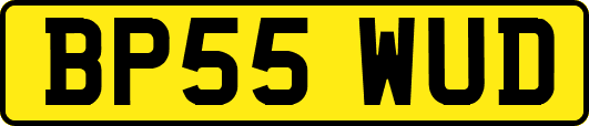 BP55WUD