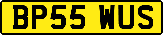 BP55WUS