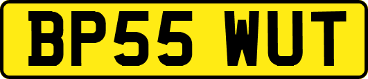 BP55WUT