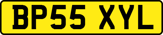 BP55XYL