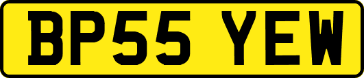 BP55YEW