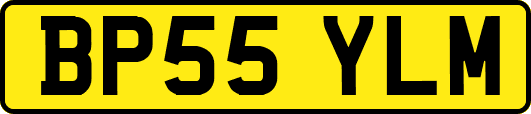 BP55YLM