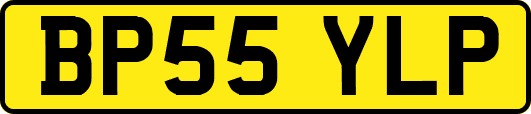 BP55YLP