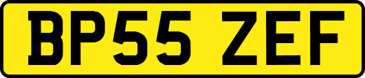 BP55ZEF