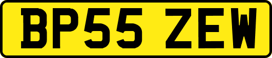 BP55ZEW