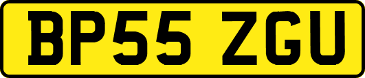 BP55ZGU