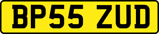 BP55ZUD
