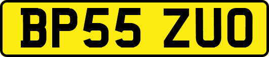 BP55ZUO