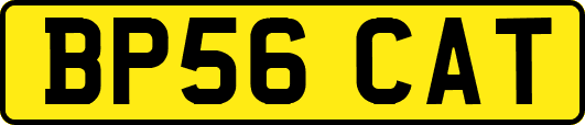 BP56CAT