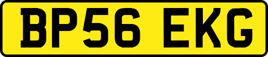 BP56EKG
