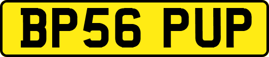 BP56PUP