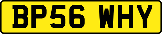 BP56WHY