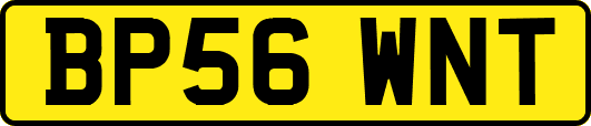 BP56WNT