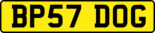 BP57DOG