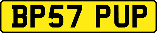 BP57PUP