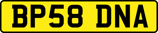 BP58DNA