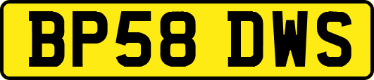 BP58DWS