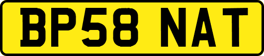 BP58NAT