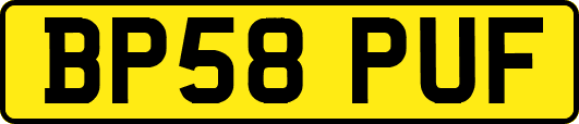 BP58PUF