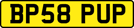 BP58PUP