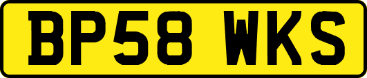 BP58WKS