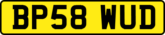 BP58WUD