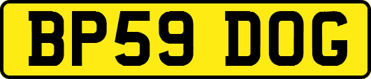 BP59DOG
