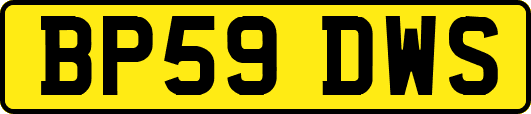 BP59DWS